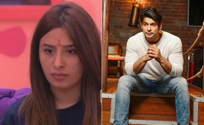 माहिरा शर्मा ने सिद्धार्थ शुक्ला को कहा '40 साल का बुड्ढा', तो भड़की ये एक्ट्रेस, बोलीं- मानसिकता पर शर्म आती है