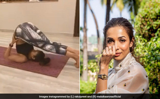 मलाइका अरोड़ा को टक्कर देने आई साउथ की ये सुपरस्टार, Video देख हो आप भी जाएंगे हैरान