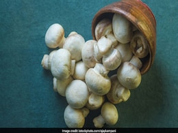 Winter Diet : ठंड के मौसम में जरूर खाएं मशरूम, मिलेंगे ये जबरदस्त फायदे Winter Diet : ठंड के मौसम में जरूर खाएं मशरूम, मिलेंगे ये जबरदस्त फायदे