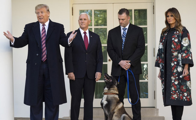 'Boy Or Girl'? US Officials Confused Over Hero Dog In Baghdadi Raid