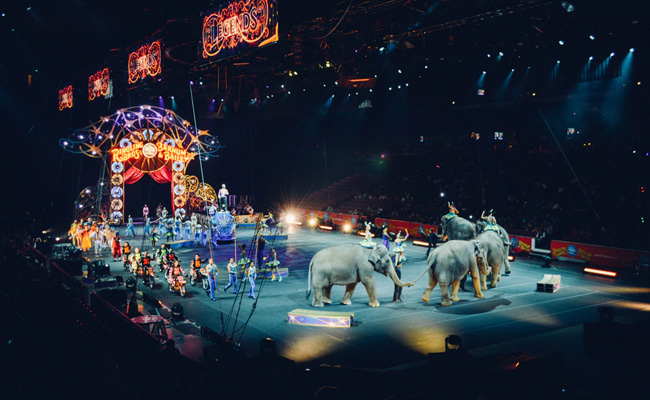 Paris Bans Use Of Wild Animals In Circuses