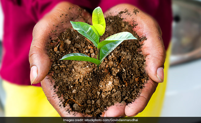 Organic Agriculture University To Come Up In Goa Soon