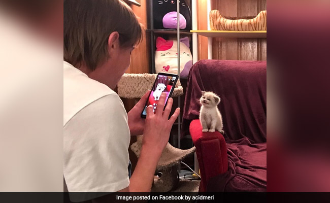 This Small Kitten Smiling For The Camera Is Melting Millions Of Hearts