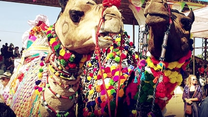 Sponsored: The Camel Beauty Contest At The Pushkar Fair