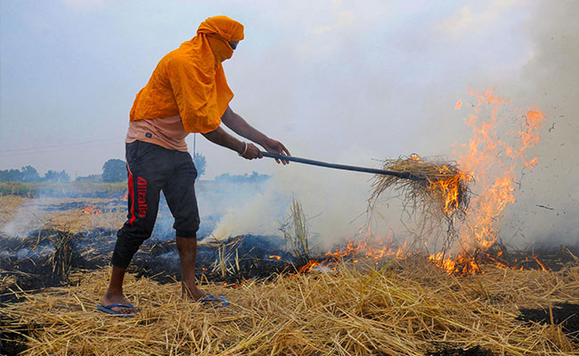 Punjab Suspends Payment Of Compensation To Farmers For Not Burning Stubble