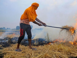 Punjab Records Over 300 Cases Of Stubble Burning Since September 15