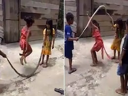 बच्चों ने मस्ती-मस्ती में सांप के साथ खेला रस्सी कूद, वायरल हुआ ये डरावना Video बच्चों ने मस्ती-मस्ती में सांप के साथ खेला रस्सी कूद, वायरल हुआ ये डरावना Video