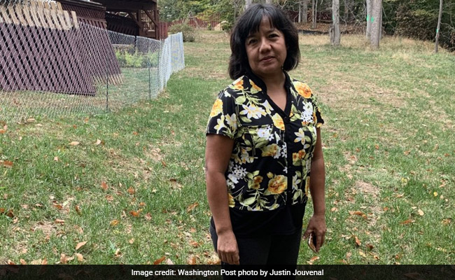 US Woman Wanted Free Dirt. Her Yard Was Buried By Over 100 Truckloads