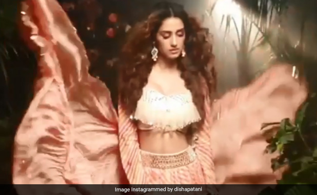 दिशा पटानी ने कराया फोटोशूट, तो Video देख फैन्स ने बांधे तारीफों के पुल