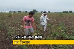 केंद्र और मध्य प्रदेश सरकार के बीच फंसी किसानों की सहायता राशि केंद्र और मध्य प्रदेश सरकार के बीच फंसी किसानों की सहायता राशि