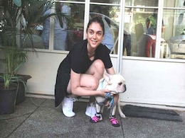 Like Aditi Rao Hydari, Dress Up Your Pet In Adorable Dog Boots Like Aditi Rao Hydari, Dress Up Your Pet In Adorable Dog Boots