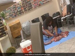 Shocking: सैलून में कर्मचारी सबके सामने काट रही थी मांस, घबराई छात्रा ने पूछा- ''किसी को...'' Shocking: सैलून में कर्मचारी सबके सामने काट रही थी मांस, घबराई छात्रा ने पूछा- ''किसी को...''