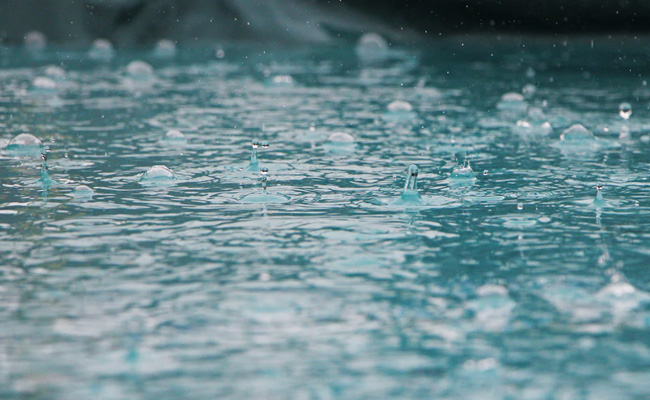 Heavy Rain For 7 Hours Breaks 20-Year-Old Record In Pakistan's Lahore: Report