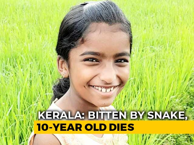 Kerala Girl,10, Dies Of Snakebite In Class, School Allegedly Ignored Injury