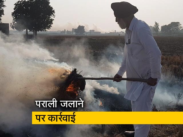 पंजाब में पराली जलाने पर 196 किसान गिरफ्तार