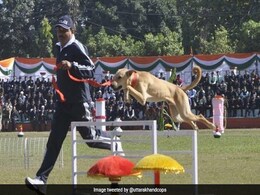 उत्तराखंड पुलिस ने आवारा देसी कुत्तों को किया टीम में शामिल, कहा- "विदेशी नस्लों से कई गुना बेहतर हैं अपने डॉग्स" उत्तराखंड पुलिस ने आवारा देसी कुत्तों को किया टीम में शामिल, कहा- "विदेशी नस्लों से कई गुना बेहतर हैं अपने डॉग्स"