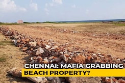 In Row Over Fishing Settlement, Chennai May Lose Beach Where Turtles Nest In Row Over Fishing Settlement, Chennai May Lose Beach Where Turtles Nest
