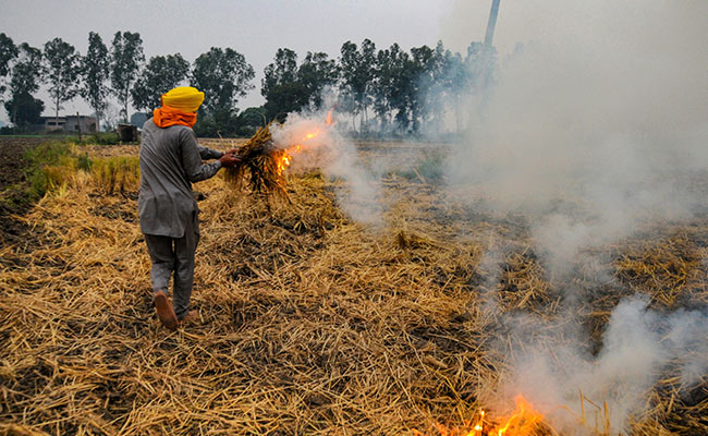 On Stubble Burning, Supreme Court Steps In Amid Rising Pollution In Delhi