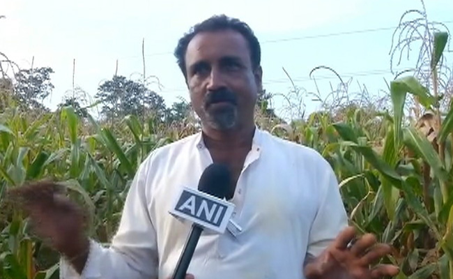Madhya Pradesh Farmer Uses Sound To Protect Crops From Wild Animals