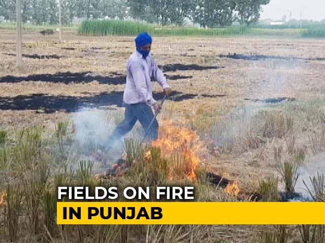 Defying Ban Orders, Farmers Burn Stubble In Punjab Chief Minister's Turf