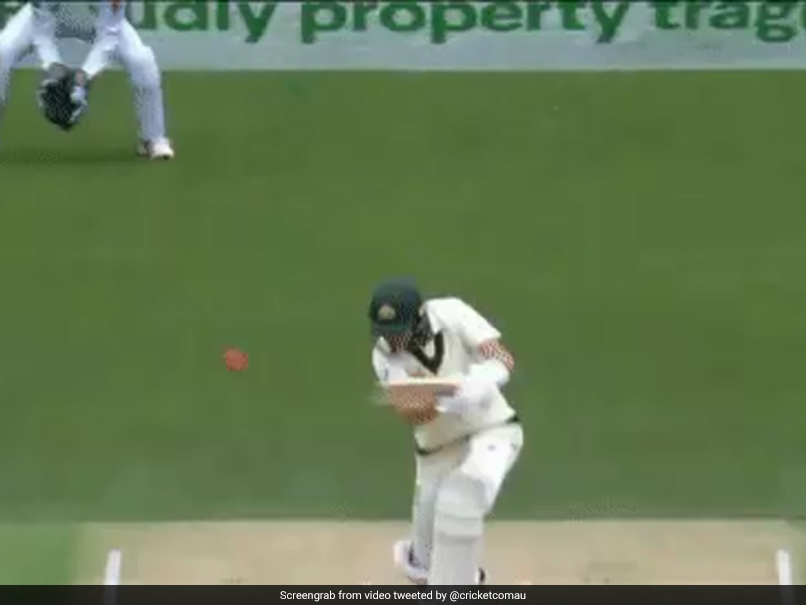 Watch: Marnus Labuschagne Copies Steve Smith's Batting Technique, Leaves Twitter Divided