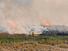 Supreme Court's Big Move On Stubble Burning, Declines Centre's Request