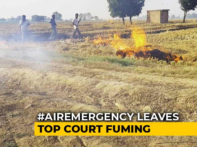 Extinguish Stubble Fires, Supreme Court Tells Punjab, Haryana