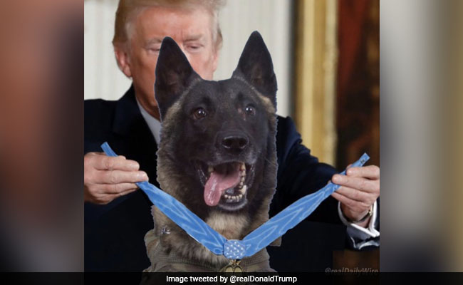 ट्रंप ने बगदादी पर हमले के दौरान घायल हुए कुत्ते की फर्जी तस्वीर की ट्वीट
