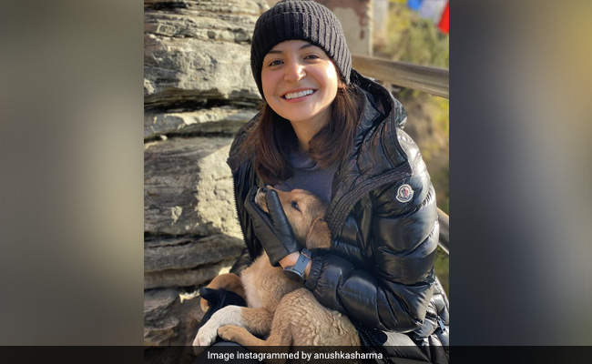 More Postcard-Worthy Pics From Anushka Sharma And Virat Kohli’s Vacation. Seen Yet?