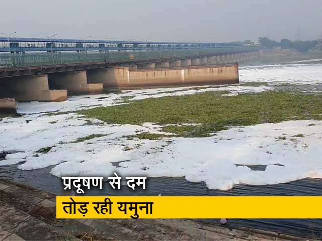 दिल्ली: यमुना का पानी हुआ जहरीला, बह रहा झाग वाला पानी
