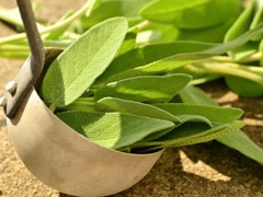 Herb For Health: Why and How You Should Add Sage Herb In Your Diet Herb For Health: Why and How You Should Add Sage Herb In Your Diet