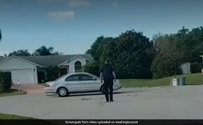 Watch: Florida Dog Puts Car In Reverse, Drives in Circles For An Hour