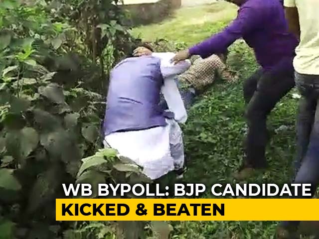 On Camera, BJP Candidate Kicked Into Bushes As Bengal Votes For 3 Bypolls