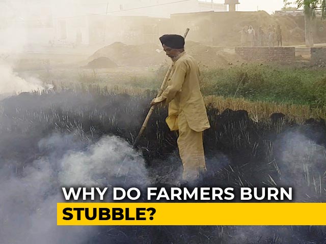 Despite Ban, Farmers In Punjab Continue To Burn Stubble