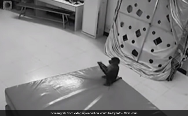 Watch: Sneaky Monkey Uses Keeper's Phone To Do Some Online Shopping