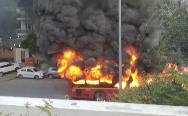 "Buses Set On Fire With People Still Inside": Delhi Violence Witness