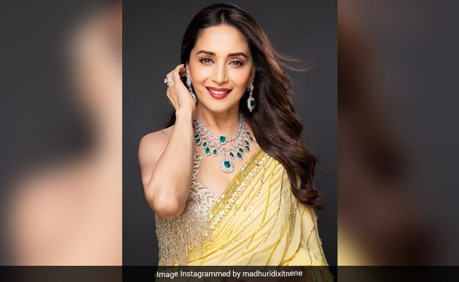 Madhuri Dixit To Make Digital Debut With Netflix Series Produced By Karan Johar