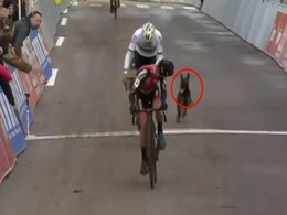 Watch: Excited Dog Brings Chaos To Cycling Competition Watch: Excited Dog Brings Chaos To Cycling Competition