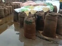 छत्तीसगढ़ में सरकार ने सौ करोड़ रुपये से ज्यादा में खरीदी धान, अब खुले में पड़ी सड़ रही छत्तीसगढ़ में सरकार ने सौ करोड़ रुपये से ज्यादा में खरीदी धान, अब खुले में पड़ी सड़ रही