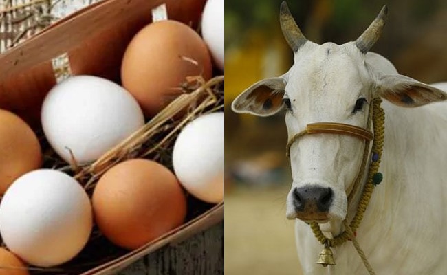 यहां के छात्रों को लगता है ''गाय देती है अंडे'', पौधों पर उगता है Cheese