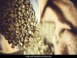 International Coffee Day 2020: 4 Amazing Reasons To Drink Green Coffee And Yummy Recipes International Coffee Day 2020: 4 Amazing Reasons To Drink Green Coffee And Yummy Recipes