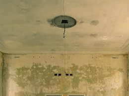 His Boss Told Him To Ignore Rat-Infested Ceiling. Then It Fell On Him His Boss Told Him To Ignore Rat-Infested Ceiling. Then It Fell On Him