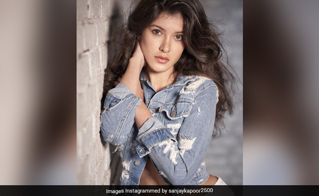 Shanaya Kapoor On Getting A Chance To Work With Karan Johar: 'I Would Get Emotional And Just Die'