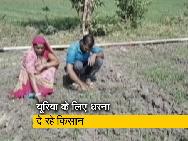 मध्य प्रदेश में गहराता यूरिया का संकट