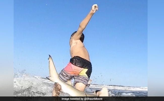 Shark Knocks Boy Off His Surfboard In Chilling Video