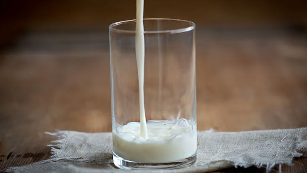 Drink low-fat milk for weight loss and good health