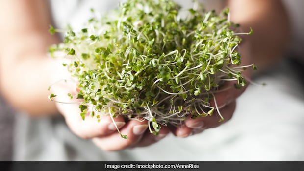 Latest and Breaking News on NDTV