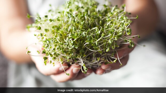 Broccoli sprouts can aid cancer prevention and speedy recovery