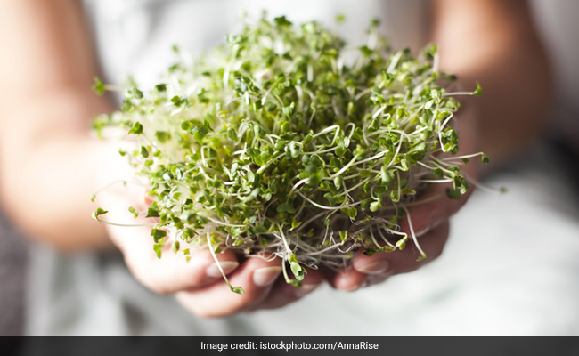 Broccoli sprouts can aid cancer prevention and speedy recovery