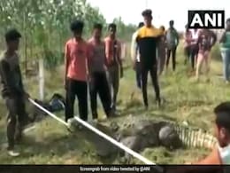 खुले खेत में घूम रहा था 12 फीट लंबा मगरमच्छ, काबू करने की कोशिश में लगे रहे लोग, फिर... खुले खेत में घूम रहा था 12 फीट लंबा मगरमच्छ, काबू करने की कोशिश में लगे रहे लोग, फिर...